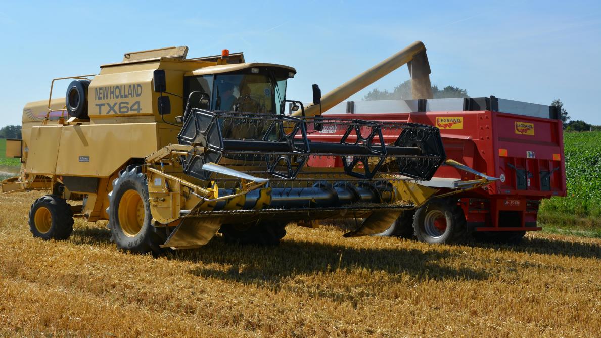 Pour 2022, la  production mondiale de blé devrait  atteindre 782 mt.
