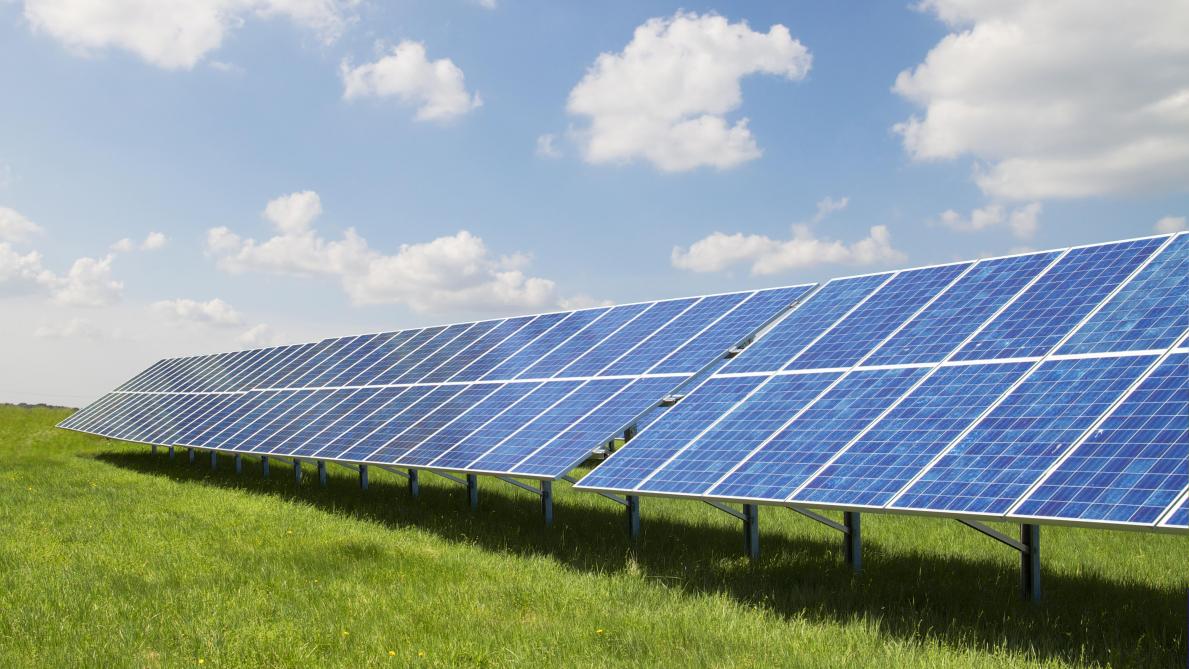 99.000 ha de plus pour la production alimentaire grâce au photovoltaïque