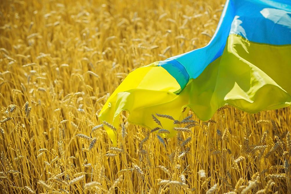 La Russie «prête» à aider une exportation «sans entraves» des céréales de l’Ukraine