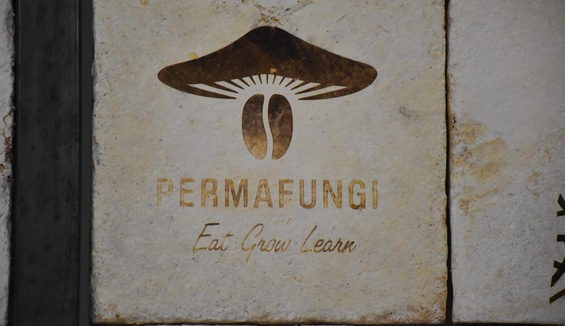 Faire pousser des champignons sur du marc de café paraissait donc à la base une idée « saugrenue », PermaFungi l’a fait.