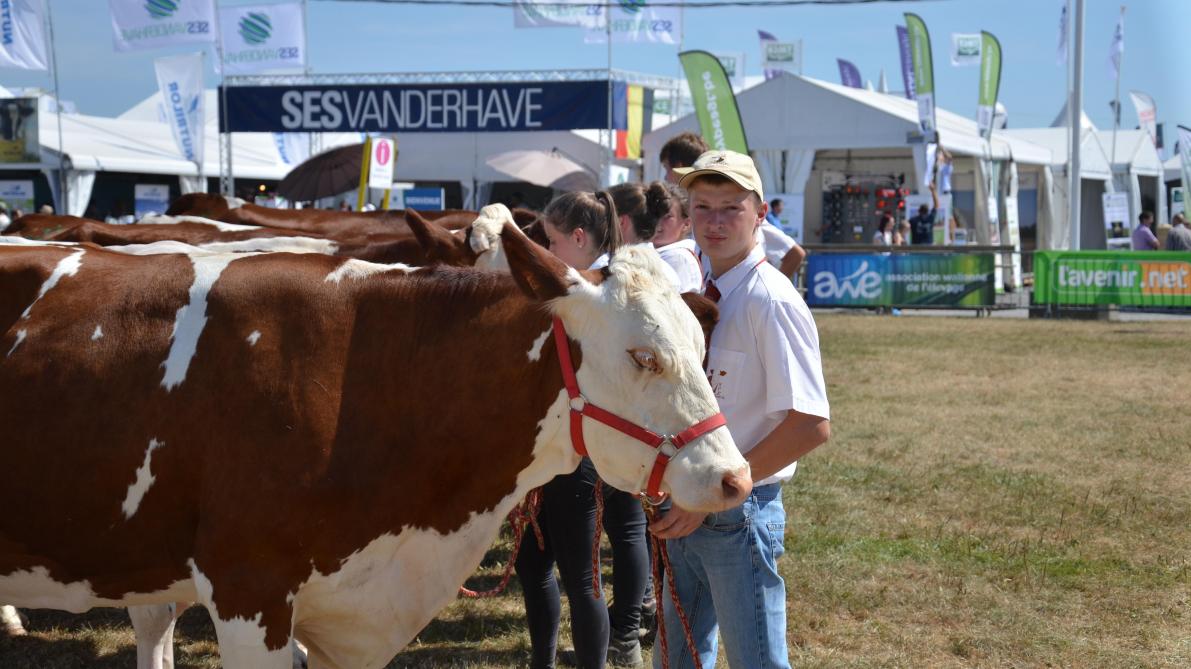 La Foire de Libramont, le retour d’un événement devenu mythique SillonBelge.be