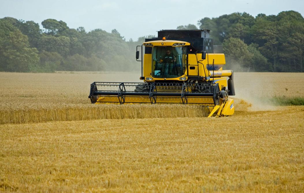 Pour la commission, il est fondamental que l’UE participe à couvrir le déficit de production pour faire face à la pénurie mondiale de blé et ainsi faire baisser les prix même si elle reconnaît « qu’autoriser ces dérogations n’est pas un choix parfait ».