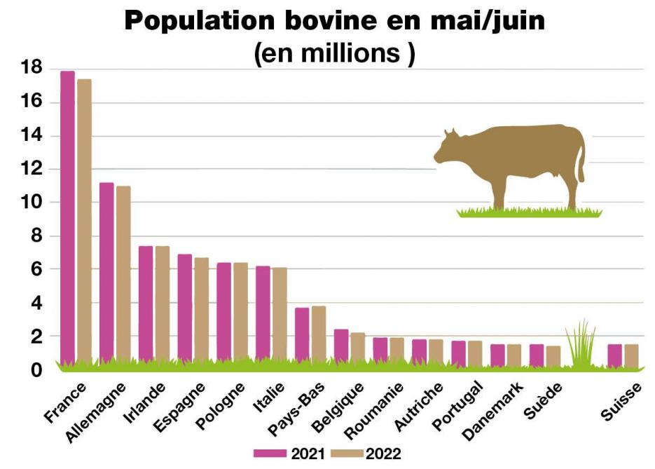 40-4034-population bovine-web