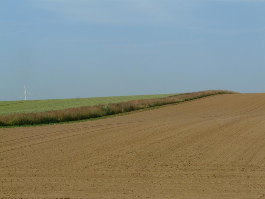 C’est dans les 120.000ha de plaines agricoles qu’il manque le plus d’éléments du maillage écologique soutenant la biodiversité très particulière des oiseaux qui nichent au sol dans les cultures. Il y faudrait au moins cinq fois plus de tournières et d’aménagements MAEC (bandes et parcelles spécifiques) pour y retrouver de bonnes populations d’alouette par exemple.