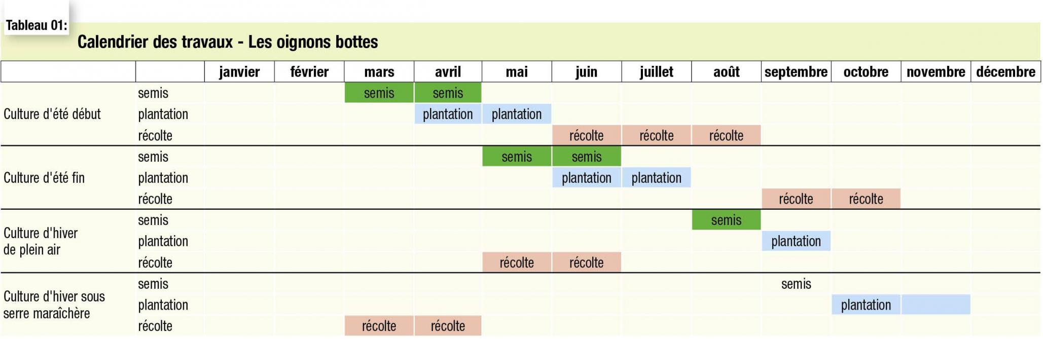 47-4041-oignon-botte-01-web