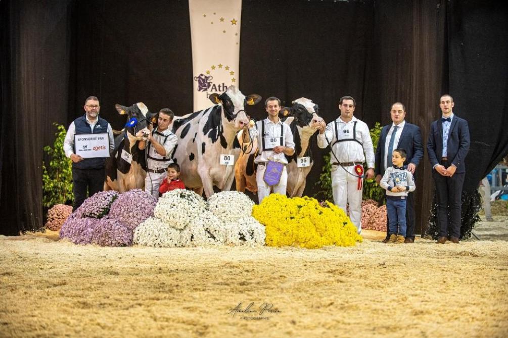 Apy 8840 du Chateau Lebrun (Lambda, Godfriaux,S.), championne vache intermédiaire;  Hanika de Bois Seigneur (Haniko, Pussemier E. et J.), réserve ; Italia de la Seigneurie  (Jetset, Godfriaux S.), mention.