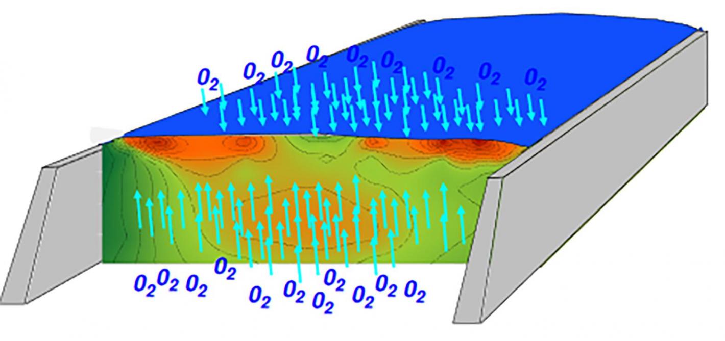 Figure 2: entrée d
