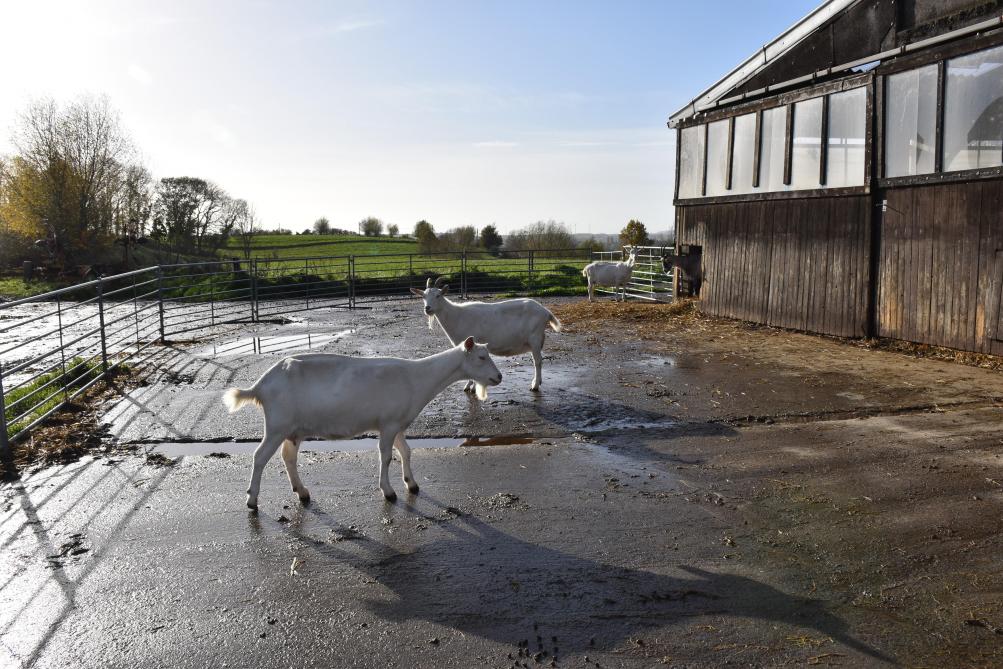 Limiter les investissements, les réaliser au maximum sur fonds propres, telle est  la philosophie de Vincent à l’aune des diverses expériences familiales du passé.