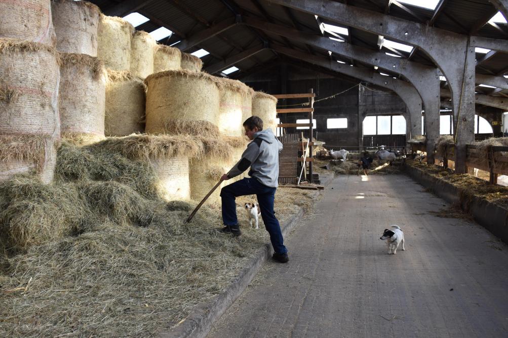 Vincent a réussi à trouver le point d’équilibre entre autonomie du côté des intrants  et une bonne valorisation de la production dans le respect du bien-être animal.