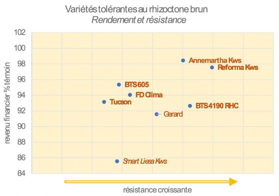 Figure 3: tolérance des variétés au rhizoctone brun (2021-2022). «Outre le rendement, le choix doit se porter sur la tolérance à la pourriture en fonction de la parcelle», recommande l’Irbab. Les nouvelles variétés sur 2 ans sont renseignées en italique.