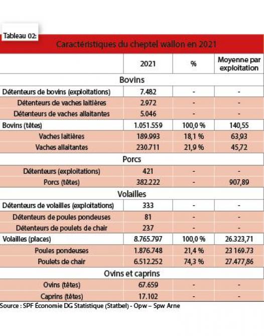 51-4045-WALLONIE_2-web 2021_2