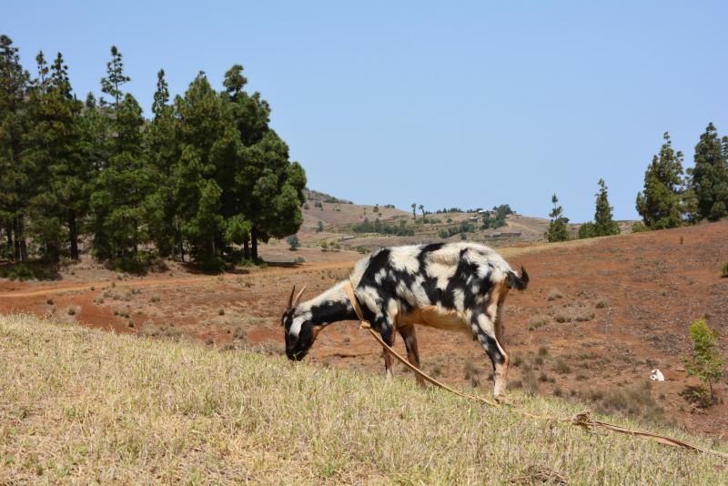 ... elle l’est dans les pays du sud, comme ici au Cap Vert, l’accès à l’eau revêt un caractère extrêmement important  pour l’économie et la sécurité de l’approvisionnement alimentaire des populations locales.