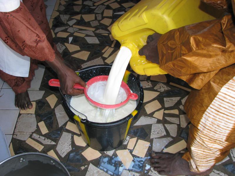 L’organisation de la collecte du lait auprès d’innombrables petits  produceurs et sa livraison rapide aux laiteries, sans dégradation qualitative, sont le premier objectif qu’ont atteint les petits éleveurs de la région de Niamey, avec l’appui des ONG. Le vrai grand défi à venir est le  développement d’une filière du lait local, aux côtés de la poudre de lait, importée qui, à court et moyen terme, demeure indispensable.