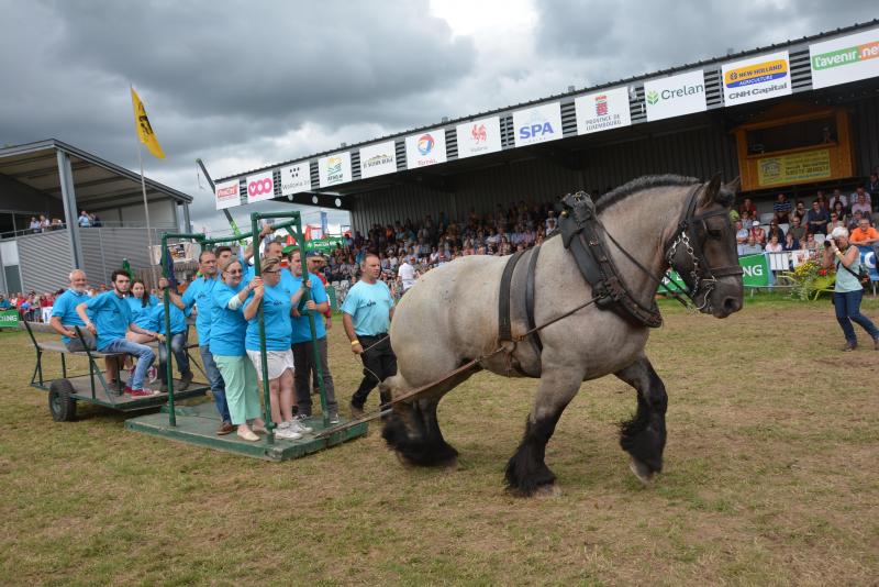 L’épreuve du traîneau, l’une des composantes du concours de 
traction chevaline, le lundi de la foire. Des spectateurs sont invités 
à y jouer un rôle particulièrement actif.