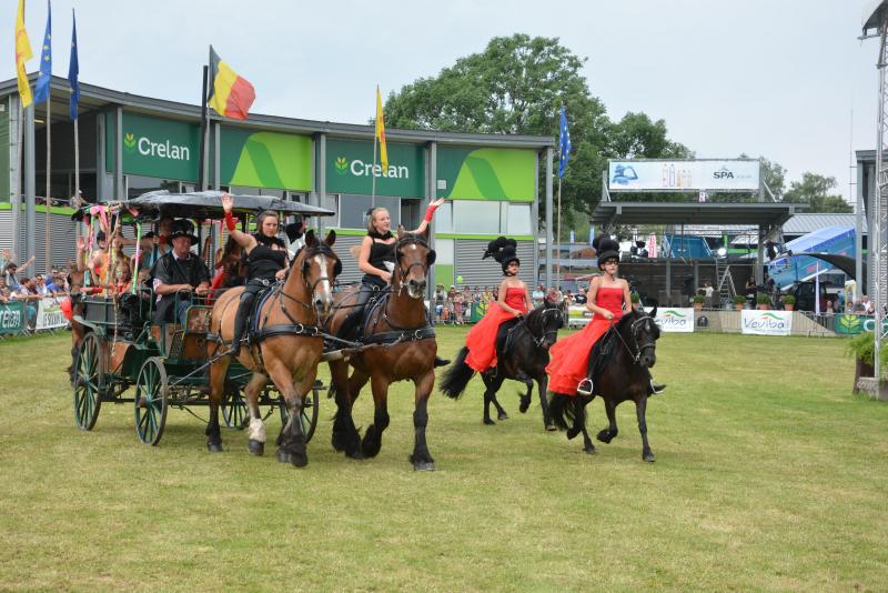 Le grand ring accueille chaque jour de multiples animations parmi lesquelles des spectacles féériques mêlant danse, poésie  et chevaux de trait.