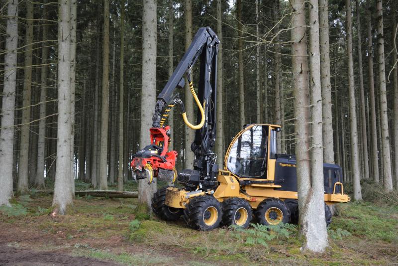 Lieu de détente pour certains, source d’emploi pour d’autres...
La forêt assure une fonction sociale cruciale pour 
de nombreux Wallons.