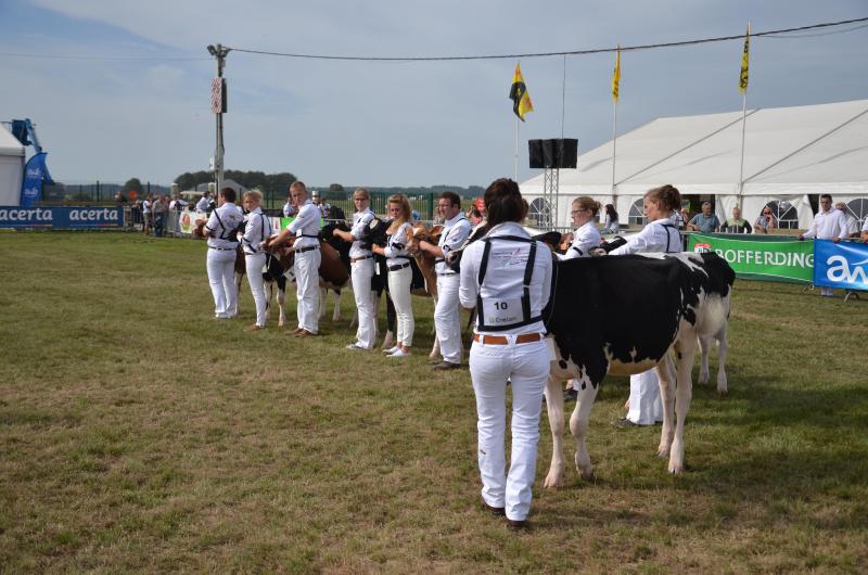 Le concours Holstein ainsi que le showmanship retrouveront leur place sur les rings de Libramont.