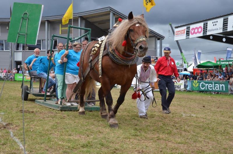 Le challenge Marc Mousny attirera encore la foule le lundi autour du grand ring. Place au cheval au travail!