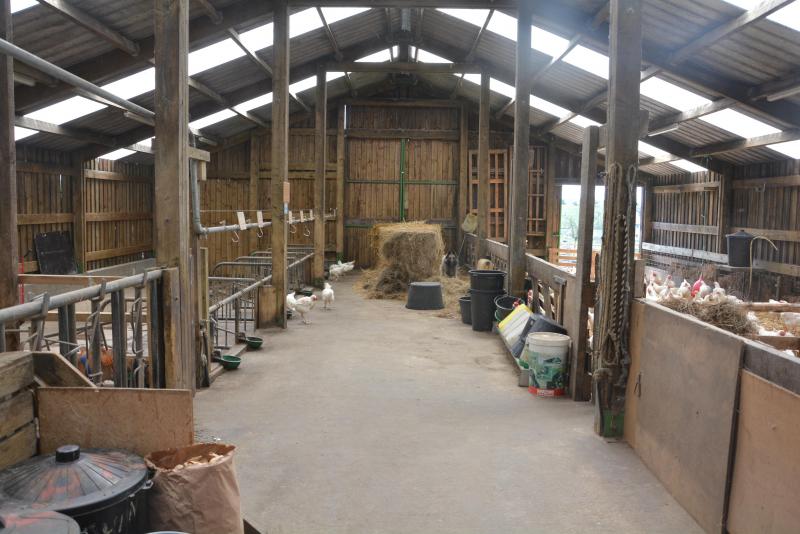 La stabulation en bois construite il y a une quinzaine d’années a été  spécialement conçue pour assurer aux éleveurs beaucoup de plasticité dans son usage.