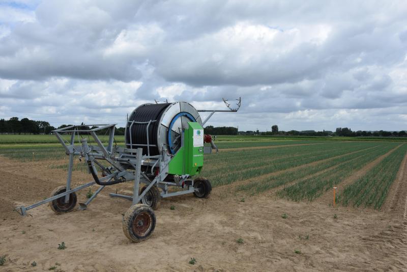 La culture de l’oignon et l’irrigation occuperont un espace particulier lors des Journées de la mécanisation.