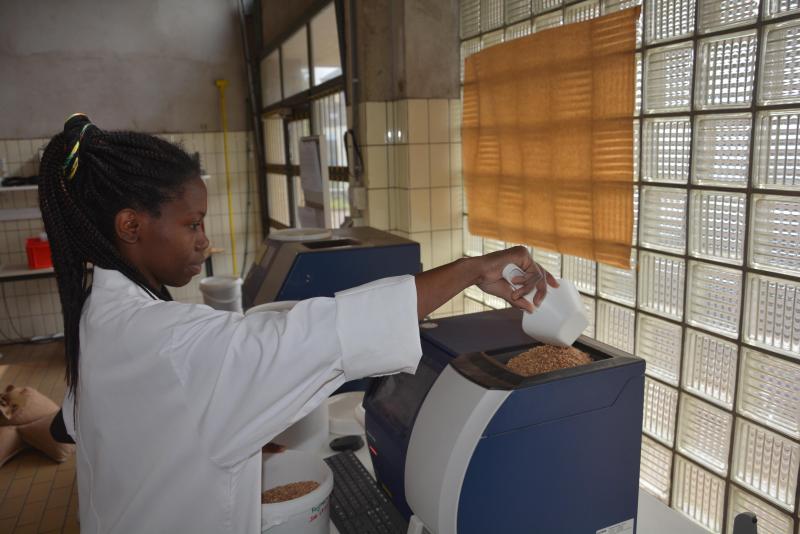 Les analyses réalisées au Cra-w par des mains expertes et des appareillages éprouvés permettent de dresser rapidement à l’issue de la moisson...