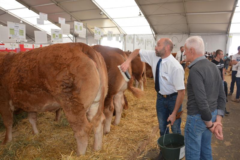 S’il défend les accords commerciaux du Mercosur, en cours, le commissaire europen à l’Agriculture reconnaît cependant que la question de la viande bovine constitue un point très sensible.