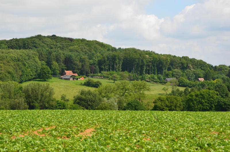 Avec la possible entrée au jeu d’un 3
e
 acteur industriel, sous la forme d’une coopérative agricole, une véritable révolution se présente dans le paysage betteravier belge. La balle est dans le camp des producteurs. Comme on dit en rugby, il leur revient maintenant de transformer l’essai !