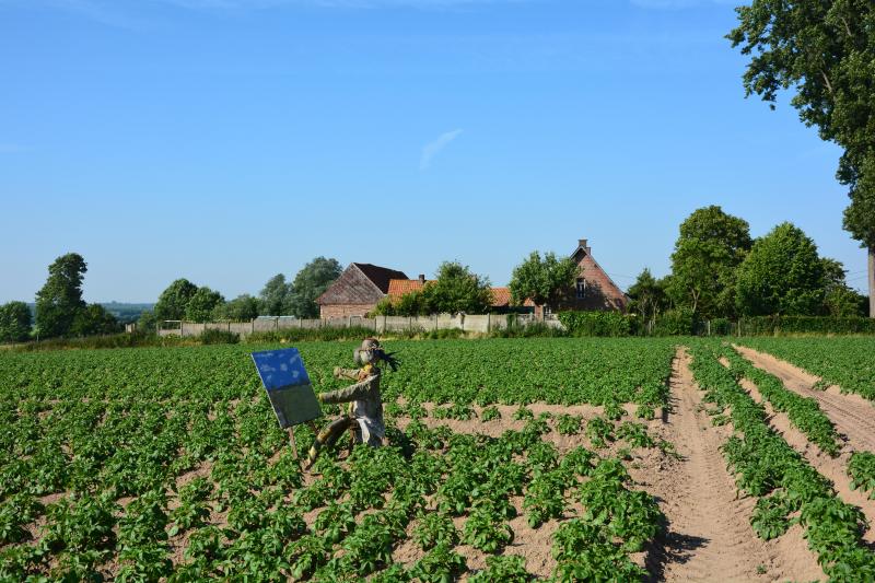 «L’agriculture offre plus d’un visage. Il n’y a pas la solution universelle miracle. Plusieurs modèles peuvent coexister: les filières courtes, le bio, une forme agriculture plus industrielle…», soutient le président de Fedagrim.