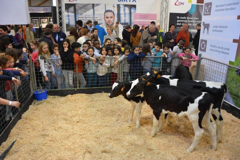 Agribex, c’est également un grand moment de découverte pour les écoliers de la Région bruxelloise.