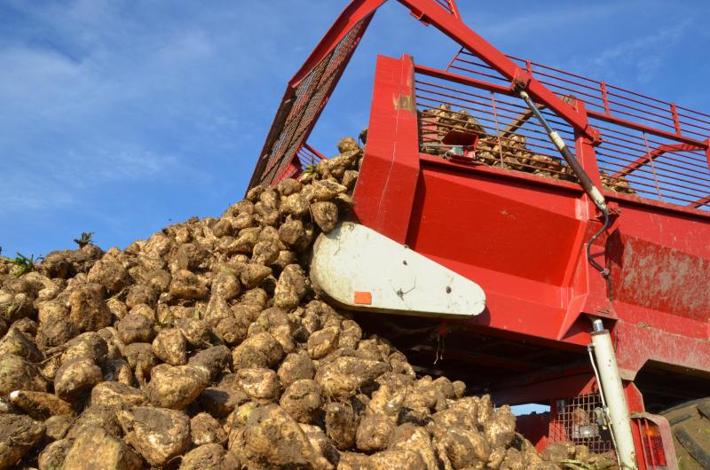 La production de sucre est attendue en hausse de 12% d’ici à 2030, avec une réduction de l’écart entre les prix de l’UE et les prix mondiaux.