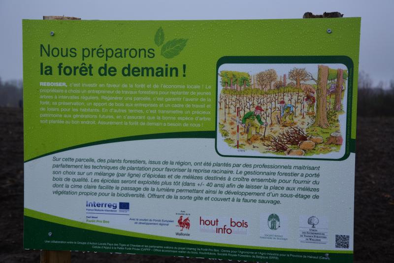 Forêt Pro Bos souhaite également sensibiliser le grand public aux coupes forestières, une étape cruciale du cycle de vie des parcelles, par l’intermédiaire de plaquettes informatives.