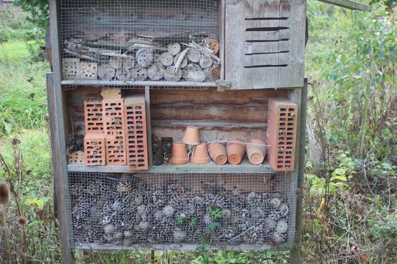 Il est temps d'installer les hôtels à insectes...