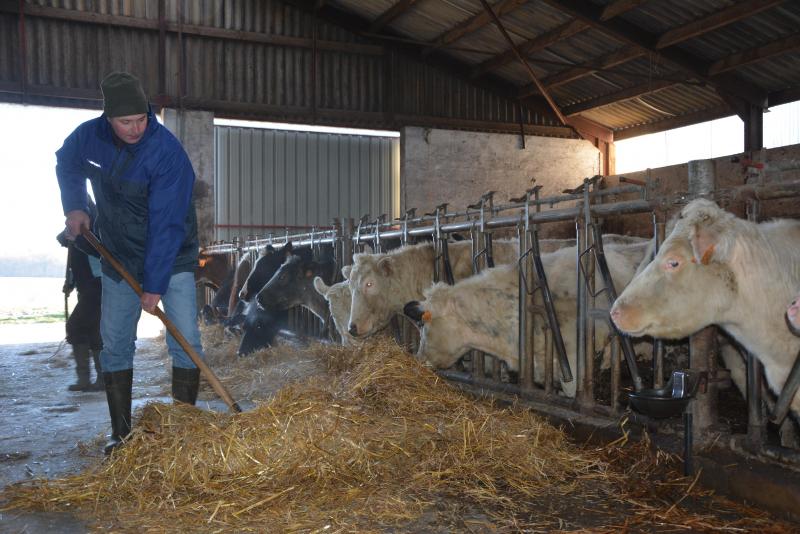 En hiver, lorsque tous les animaux sont dans les étables, le travail ne manque pas...