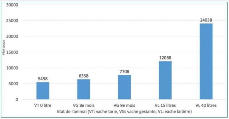 Figure 1
: besoins en VEM des vaches laitières selon leur état.