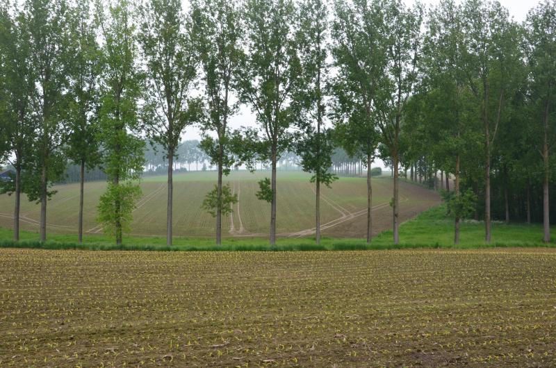 Le droit de préemption serait absolument maintenu, mais assorti d’une nouvelle exception: le preneur le perdrait aux trois conditions nécessaires suivantes: lorsqu’il a atteint l’âge de la pension, bénéficie d’une pension et n’a pas de successeur.