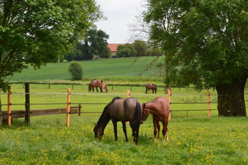 Le bail écrit serait imposé dans la nouvelle loi en préparation. Un acte sous seing privé suffirait.