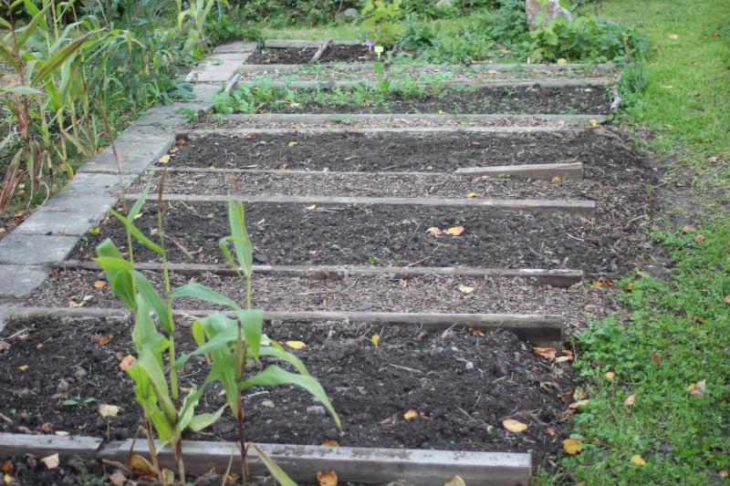 En particulier pour les potagers de petite taille, nous travaillons par zones plutôt que par bandes. Pour éviter de piétiner inutilement les zones de production, nous pouvons marcher sur des planches amovibles.