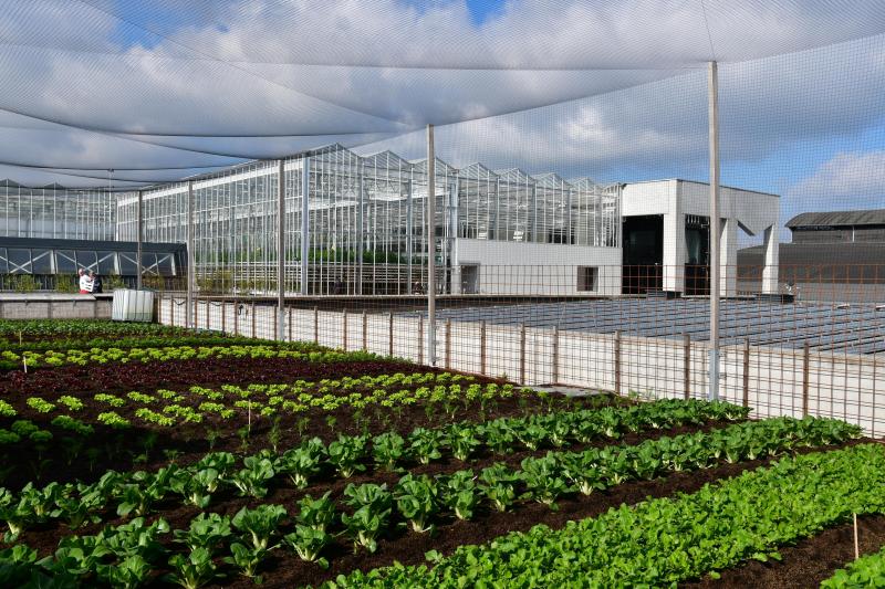 La ferme urbaine établie sur les toits à Bruxelles vise le zéro rejet et n’utilise ni antibiotiques ni pesticides.