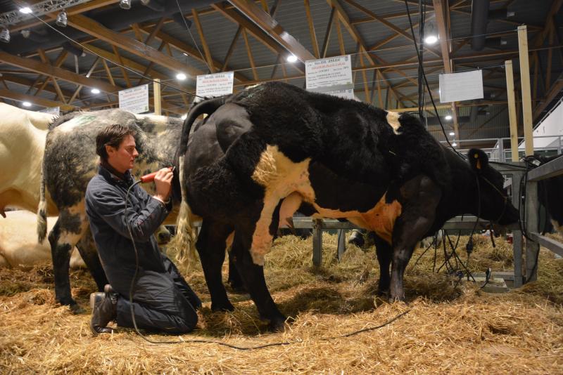 La photo « élevage » récompensée.