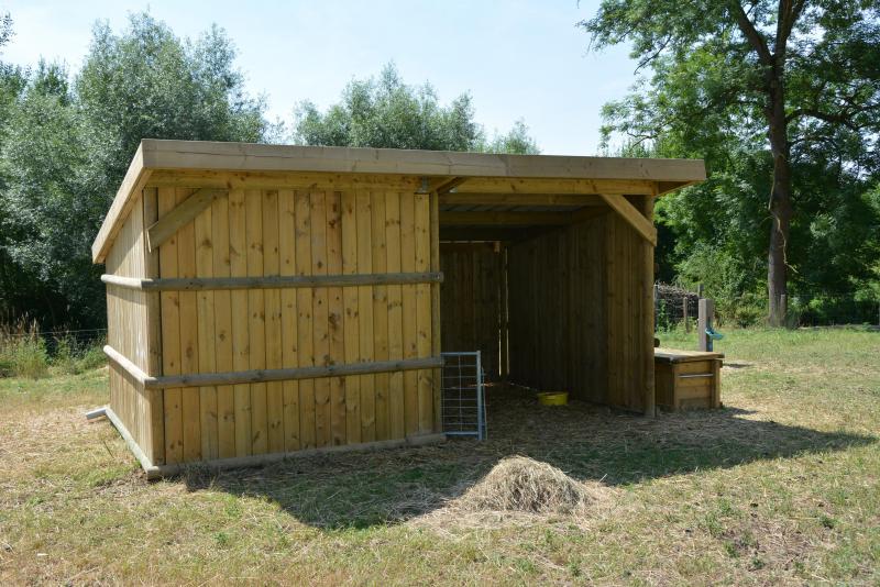 Dans la prairie, d’une superficie de 66 ares, les moutons disposent d’un abri  et d’un abreuvoir installés par Bruxelles Environnement, en soutien au projet.