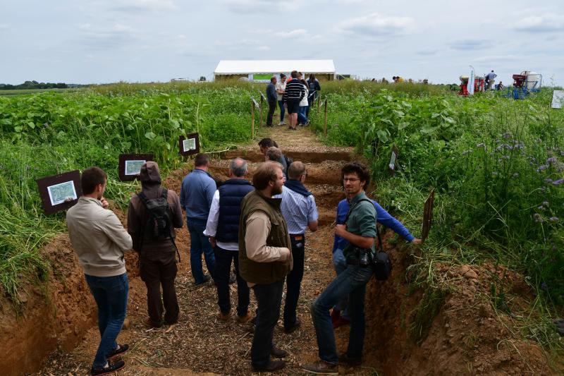 Vue très partielle de l’espace proposé par Greenotec à Ligny.