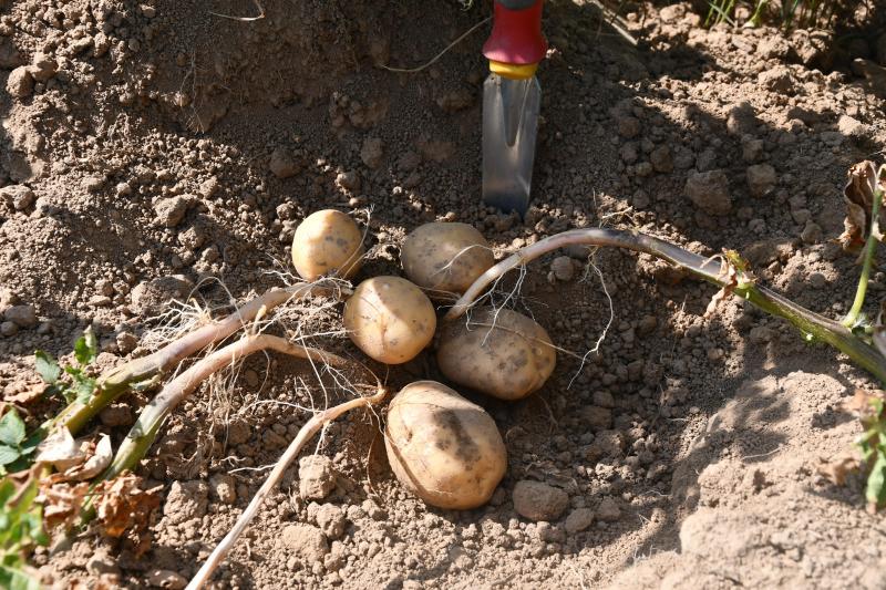 Les poids sous eau s’envolent à 390, 400, 440 g/5 kg, voire davantage encore parfois, indique la Fiwap.