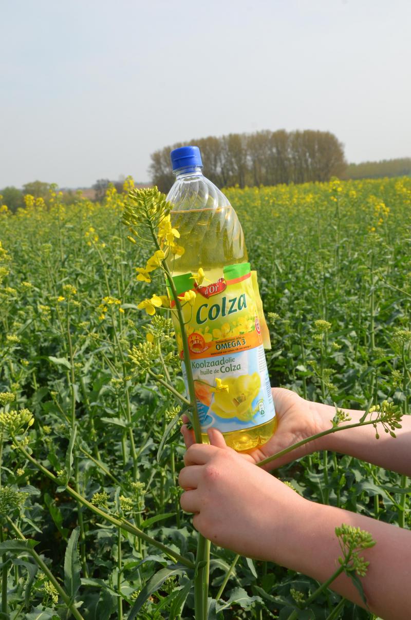 Une huile au profit santé reconnu mais souvent encore méconnu.
