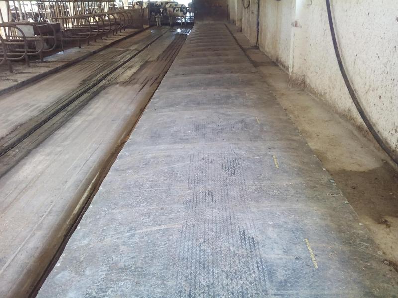 Bioret agri vient d'inventer l'Aquaclim, le premier matelas à eau climatisé capable de faire baisser la température corporelle des vaches laitières et de lutter contre le stress thermique en été.
