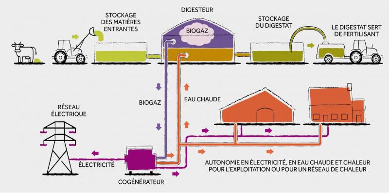 Figure 1
: principe général de la biométhanisation.