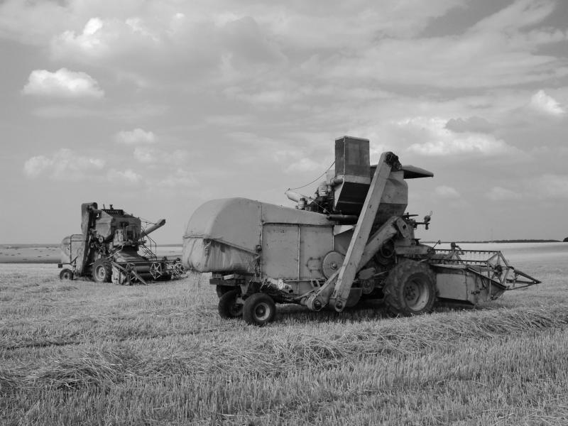 Si cette photo en noir et blanc semble sortie d’un album des années ’60, elle a été prise en juillet 2018, comme en atteste la taille des ballots de paille en arrière-plan.