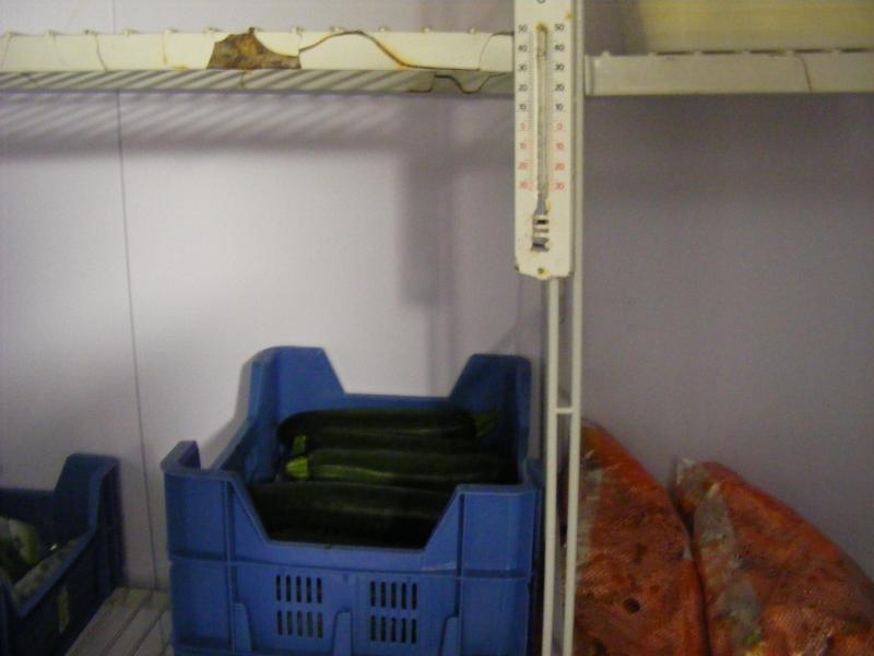 Activite Maraichere A La Ferme La Conservation Des Legumes Dans