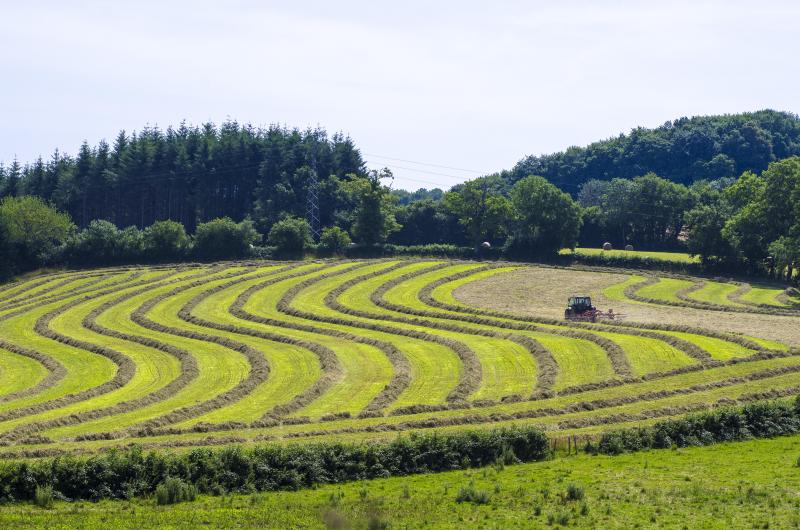 La surface agricole utile du Gaec est valorisée pour assurer au maximum l’autonomie alimentaire du cheptel, notamment sous la forme d’ensilage de préfané et foin séché en grange (luzerne et prairie).