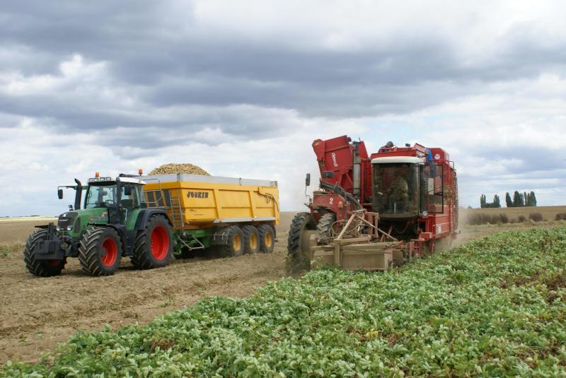 Le transport des pommes de terre s’oriente vers la benne 3 essieux.