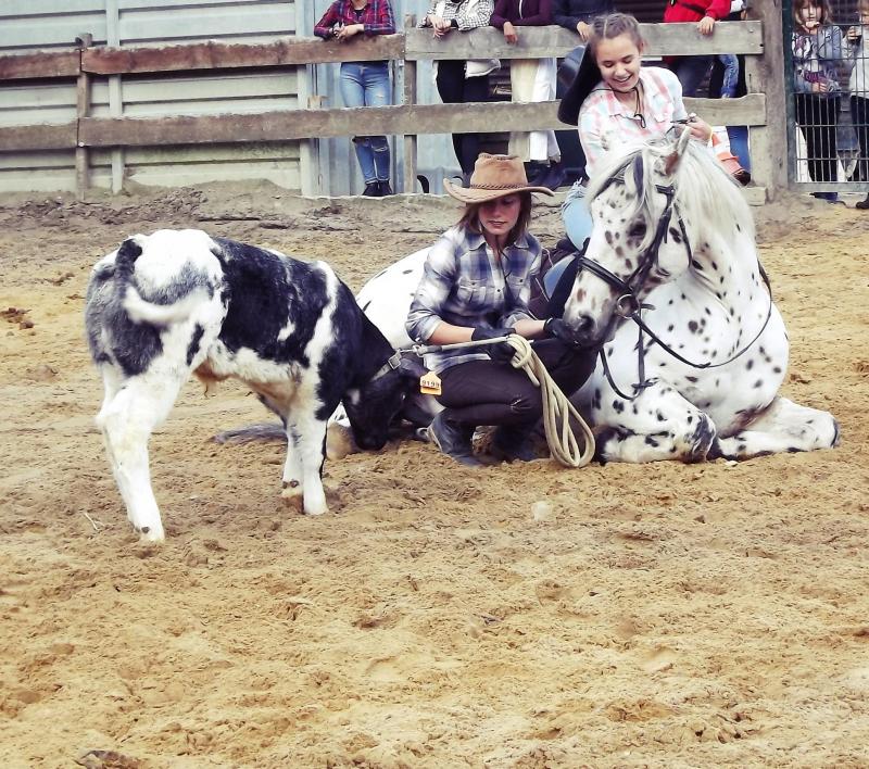 «J’aime tous les chevaux, même les plus difficiles. J’estime que s’ils réagissent ainsi, c’est qu’il y a un problème quelque part. On leur demande parfois des choses qu’ils ne comprennent pas et ils peuvent avoir des réactions agressives. C’est comme pour les humains, personne n’est fondamentalement méchant mais, il y a souvent une raison derrière nos  comportements: la recherche de pouvoir, le sentiment d’abandon, un traumatisme… »,  dit Noémie.